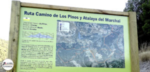 Ruta Camino de los Pinos.
